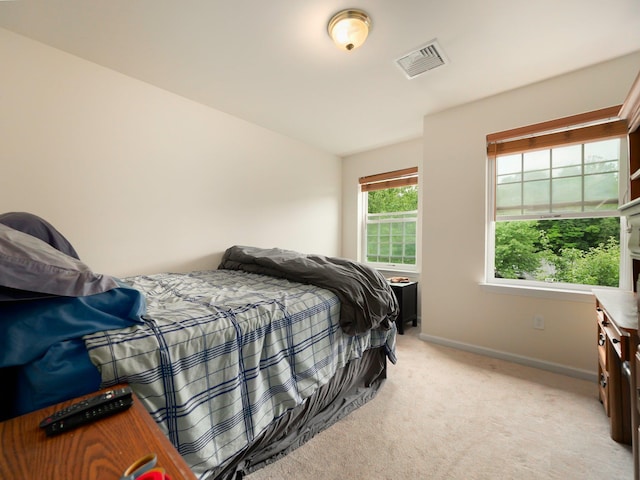 249 Pinebrook Dr, Hyde Park, NY 12538 - photo 29
