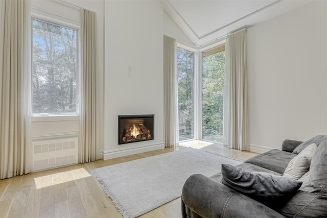 21 Dale Rd, Monsey, NY 10952 - living area featuring radiator heating unit, light wood-type flooring, lofted ceiling, and a lit fireplace