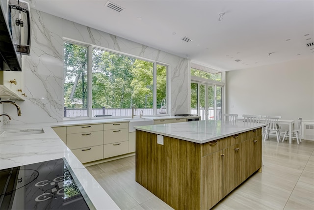 21 Dale Rd, Monsey, NY 10952 - kitchen featuring a sink, modern cabinets, light stone counters, and black electric stovetop