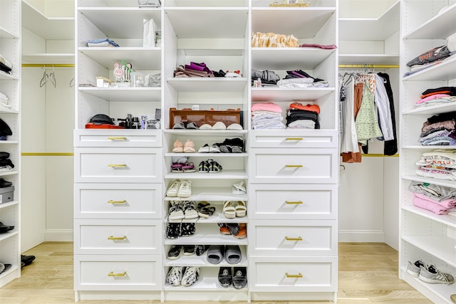 21 Dale Rd, Monsey, NY 10952 - walk in closet with light wood-style floors