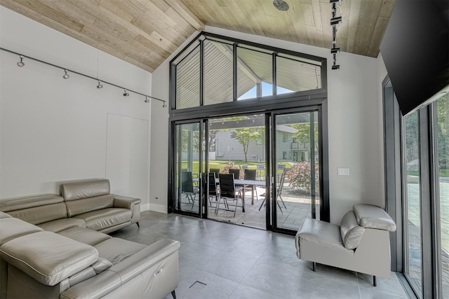 21 Dale Rd, Monsey, NY 10952 - living area with wood ceiling, plenty of natural light, rail lighting, and high vaulted ceiling