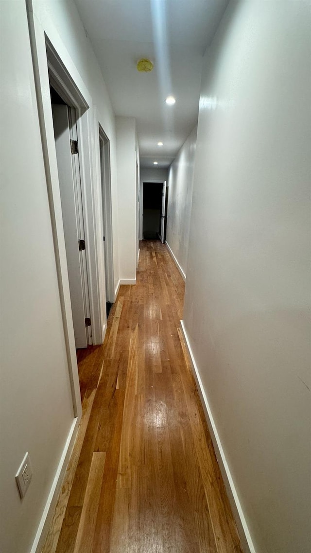 31 Roosevelt Pl, Brooklyn, NY 11233 - hall featuring wood-type flooring and recessed lighting