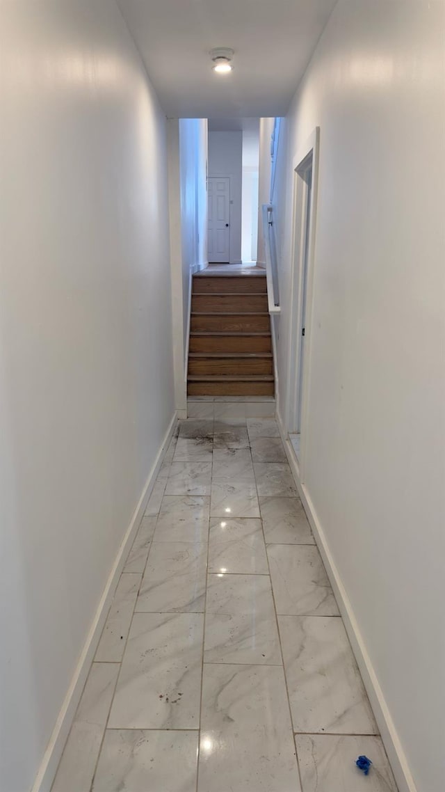 32 Radde Pl, Brooklyn, NY 11233 - hall with light marble finish floors and stairs