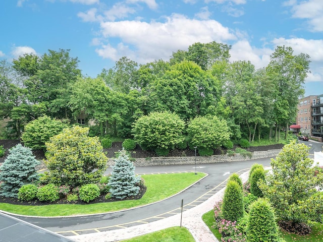 32 Pearsall Ave Unit 3A, Glen Cove, NY 11542 - view of surrounding community