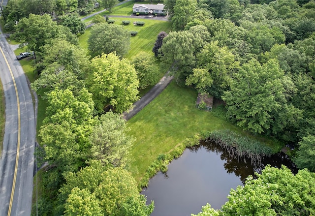 83 Dosen Rd, Middletown, NY 10940 - photo 5