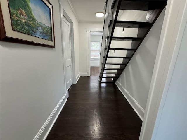 64 Vernon Ave, Mastic, NY 11950 - photo 18