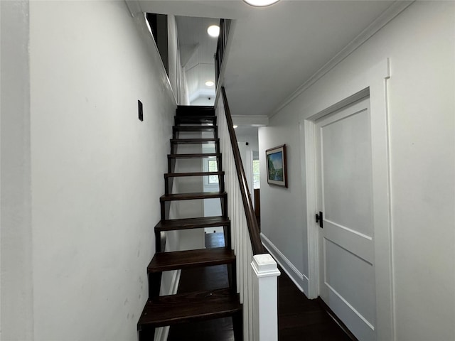 64 Vernon Ave, Mastic, NY 11950 - photo 19