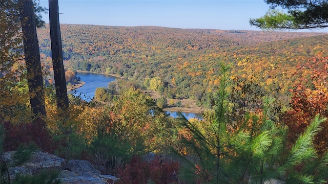 LOT1 Eagle View Rd, Narrowsburg, NY 12764 - photo 1