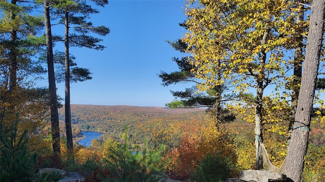 LOT1 Eagle View Rd, Narrowsburg, NY 12764 - photo 2