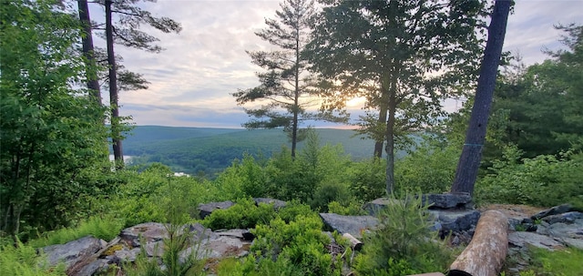 LOT1 Eagle View Rd, Narrowsburg, NY 12764 - photo 4