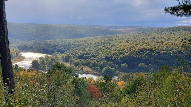 LOT1 Eagle View Rd, Narrowsburg, NY 12764 - photo 5