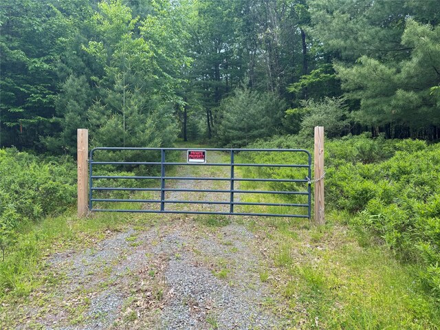 LOT1 Eagle View Rd, Narrowsburg, NY 12764 - photo 6