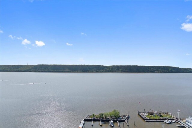1155 Warburton Ave Unit 12U, Yonkers, NY 10701 - water view