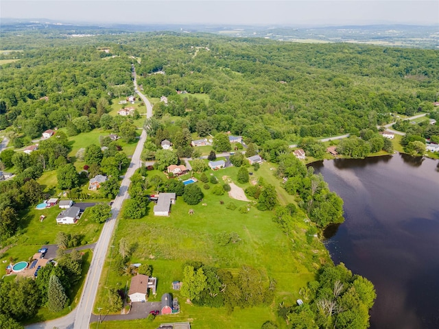 TBD Ridgebury Rd, Slate Hill, NY 10958 - photo 11