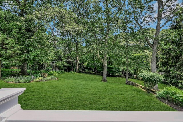 39 Dartmouth Rd, Shoreham, NY 11786 - view of grassy yard
