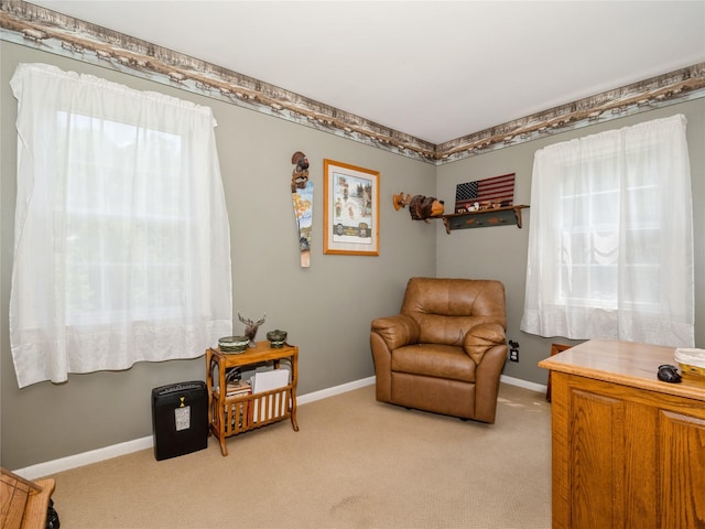 1760 Rte 199, Stanfordville, NY 12581 - sitting room featuring light colored carpet, healthy amount of natural light, and baseboards