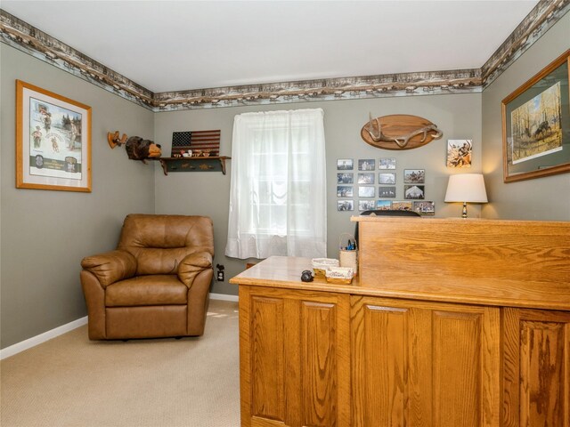 1760 Rte 199, Stanfordville, NY 12581 - office space with light colored carpet and baseboards