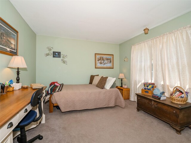 1760 Rte 199, Stanfordville, NY 12581 - bedroom featuring carpet flooring and a desk