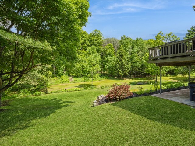 1760 Rte 199, Stanfordville, NY 12581 - view of green lawn featuring a patio and a deck