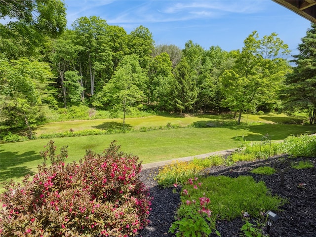 1760 Rte 199, Stanfordville, NY 12581 - view of green lawn