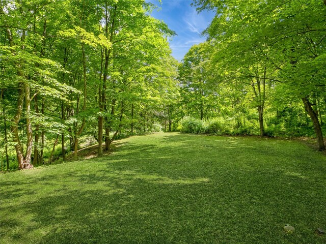 1760 Rte 199, Stanfordville, NY 12581 - view of green lawn with a wooded view