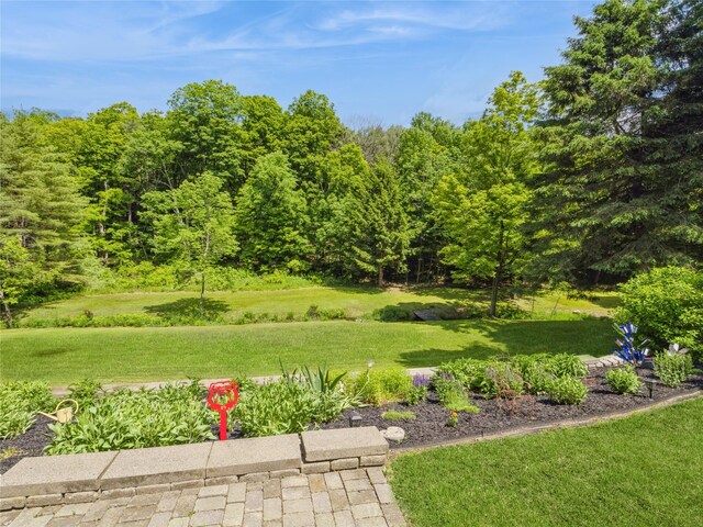 1760 Rte 199, Stanfordville, NY 12581 - view of grassy yard