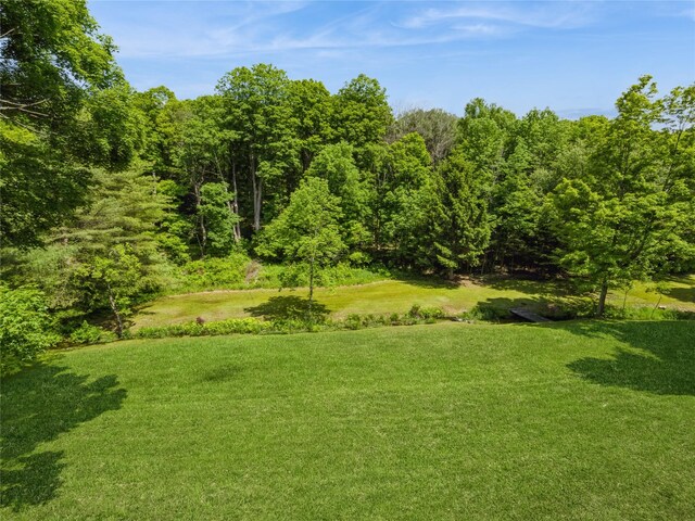 1760 Rte 199, Stanfordville, NY 12581 - view of green lawn with a forest view