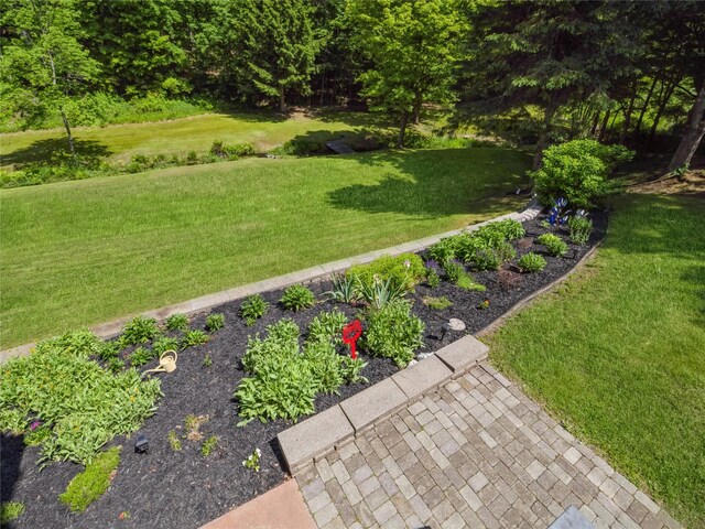 1760 Rte 199, Stanfordville, NY 12581 - view of green lawn
