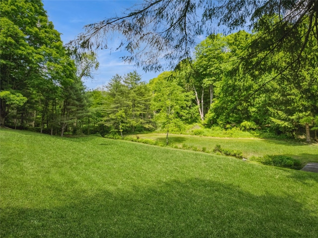 1760 Rte 199, Stanfordville, NY 12581 - view of grassy yard with a forest view