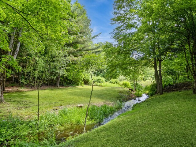 1760 Rte 199, Stanfordville, NY 12581 - view of grassy yard