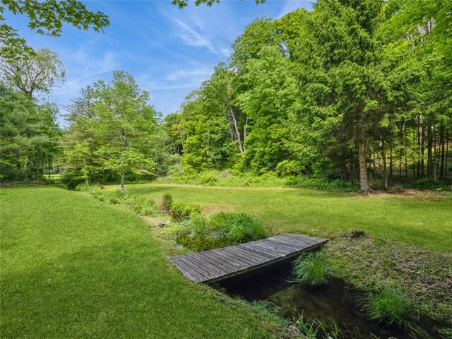 1760 Rte 199, Stanfordville, NY 12581 - view of grassy yard with a wooded view