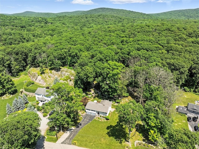 69 Clove Brook Dr, Cold Spring, NY 10516 - bird's eye view of a heavily wooded area