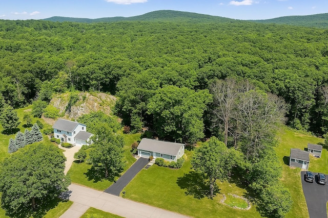 69 Clove Brook Dr, Cold Spring, NY 10516 - drone / aerial view of a forest