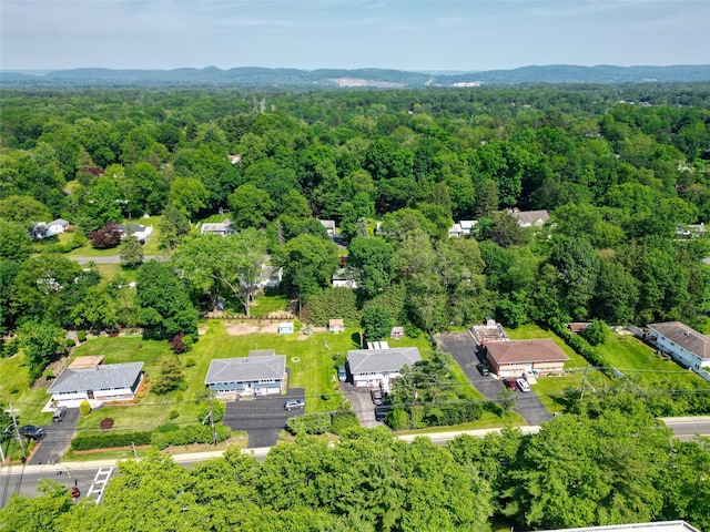 188 N Middletown Rd, Nanuet, NY 10954 - aerial view of a forest