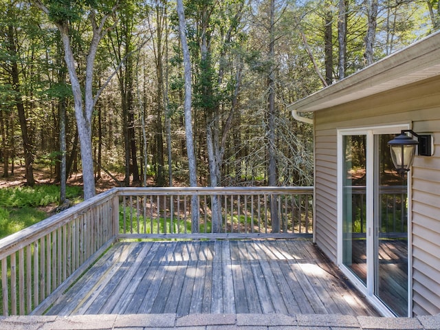 66 Highland Lake Rd, Eldred, NY 12732 - photo 48