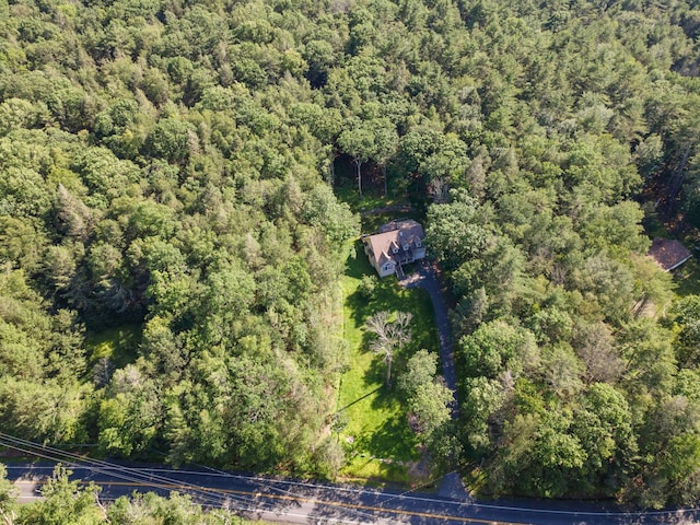 66 Highland Lake Rd, Eldred, NY 12732 - photo 50