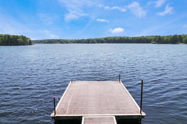 141 Mountain Laurel Ln, Glen Spey, NY 12737 - dock area with a water view