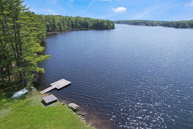 141 Mountain Laurel Ln, Glen Spey, NY 12737 - dock with a water view and a forest view