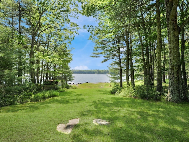 141 Mountain Laurel Ln, Glen Spey, NY 12737 - view of green lawn featuring a water view