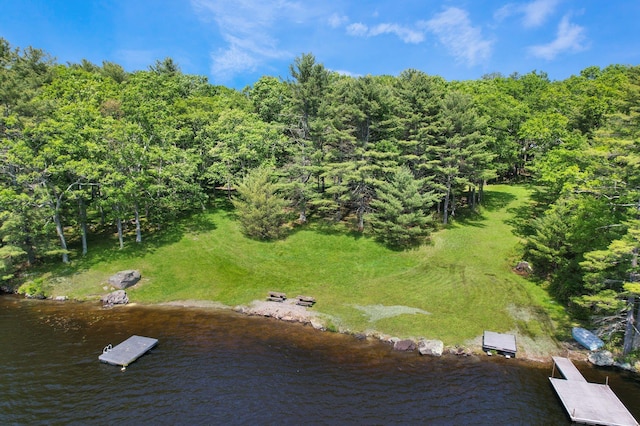 141 Mountain Laurel Ln, Glen Spey, NY 12737 - aerial overview of property's location featuring a large body of water and a forest