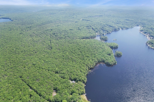 141 Mountain Laurel Ln, Glen Spey, NY 12737 - bird's eye view of a forest and a nearby body of water
