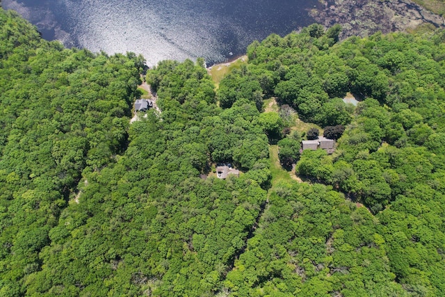 141 Mountain Laurel Ln, Glen Spey, NY 12737 - aerial overview of property's location with a forest