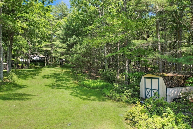 141 Mountain Laurel Ln, Glen Spey, NY 12737 - view of grassy yard