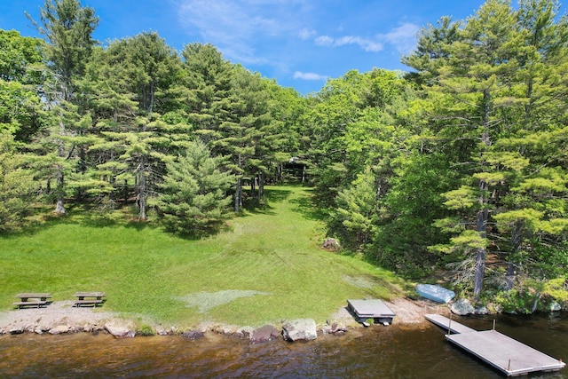 141 Mountain Laurel Ln, Glen Spey, NY 12737 - bird's eye view
