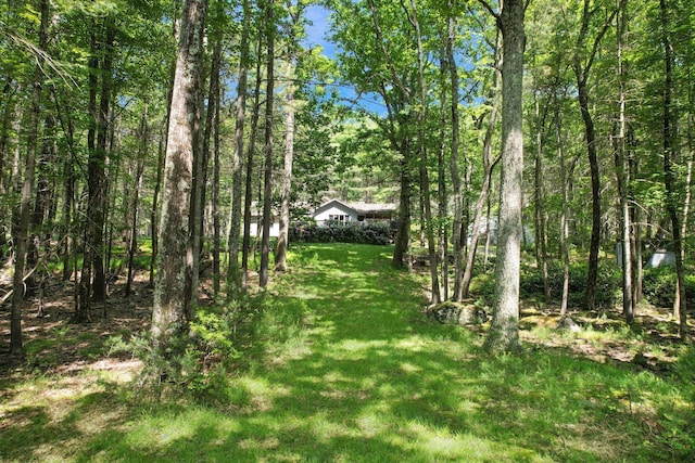 141 Mountain Laurel Ln, Glen Spey, NY 12737 - view of green lawn with a wooded view