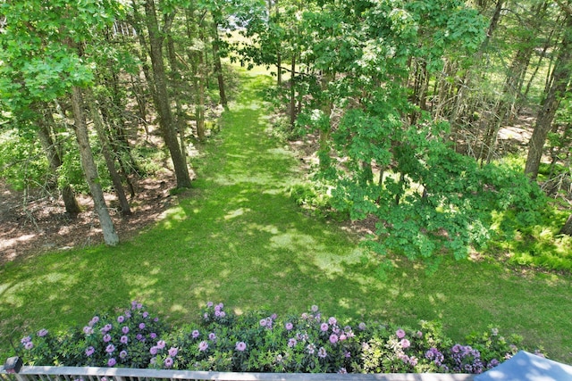 141 Mountain Laurel Ln, Glen Spey, NY 12737 - view of grassy yard
