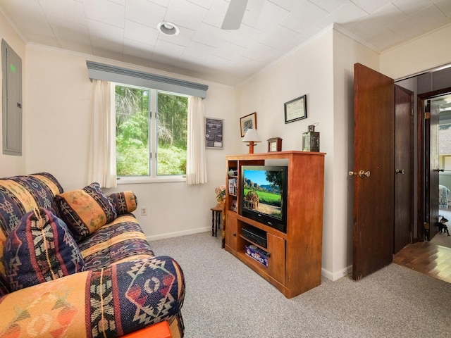 141 Mountain Laurel Ln, Glen Spey, NY 12737 - living area with crown molding, carpet floors, baseboards, and electric panel