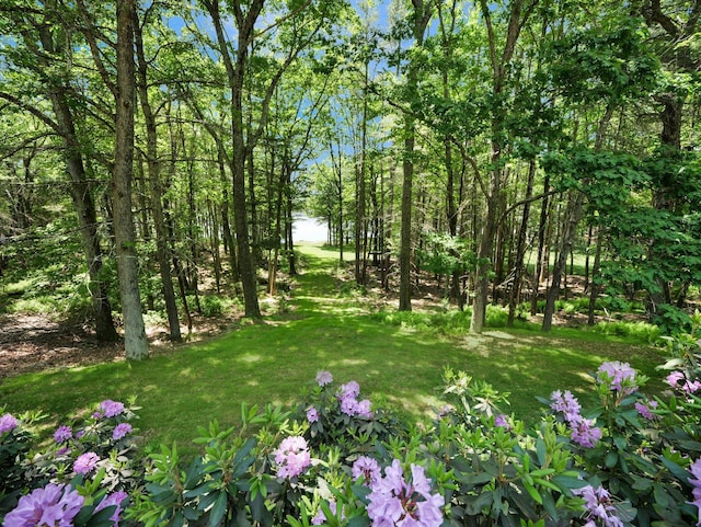141 Mountain Laurel Ln, Glen Spey, NY 12737 - view of grassy yard