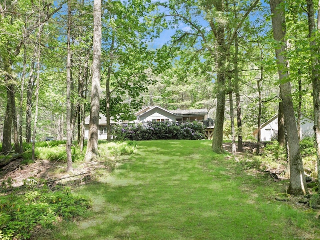 141 Mountain Laurel Ln, Glen Spey, NY 12737 - view of green lawn