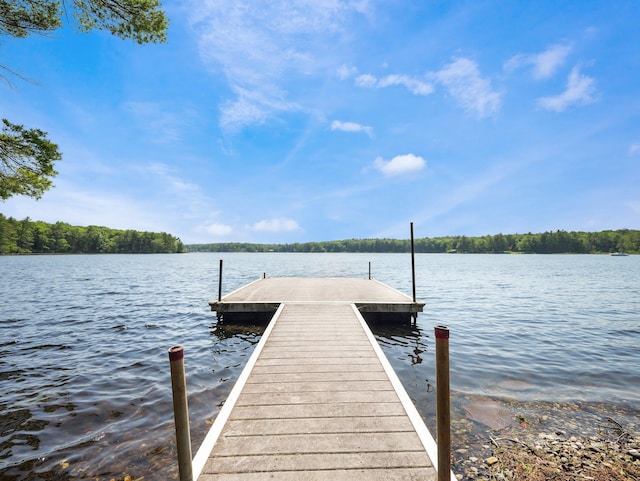 141 Mountain Laurel Ln, Glen Spey, NY 12737 - dock with a water view